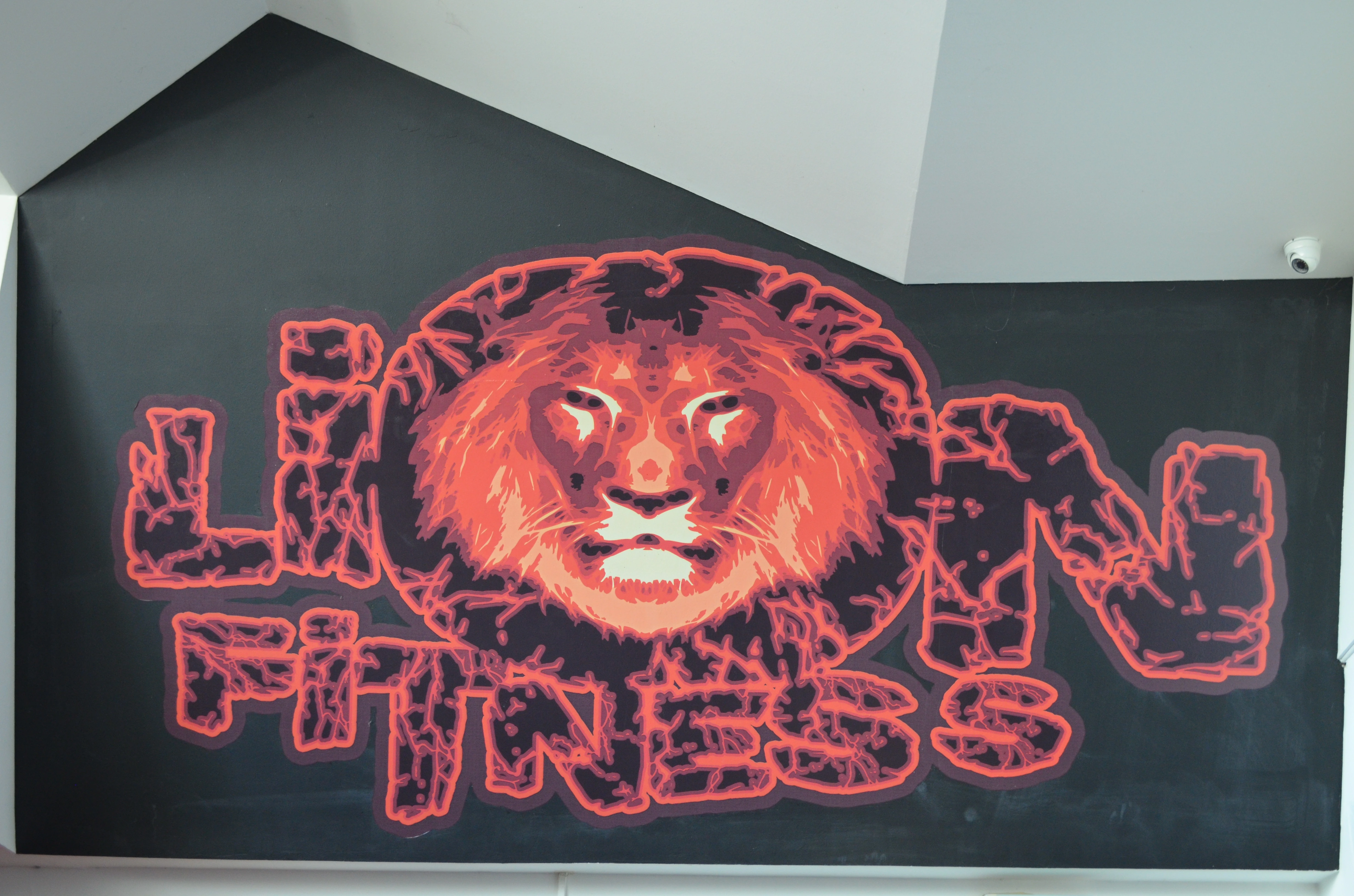 Priestory fitka Lion